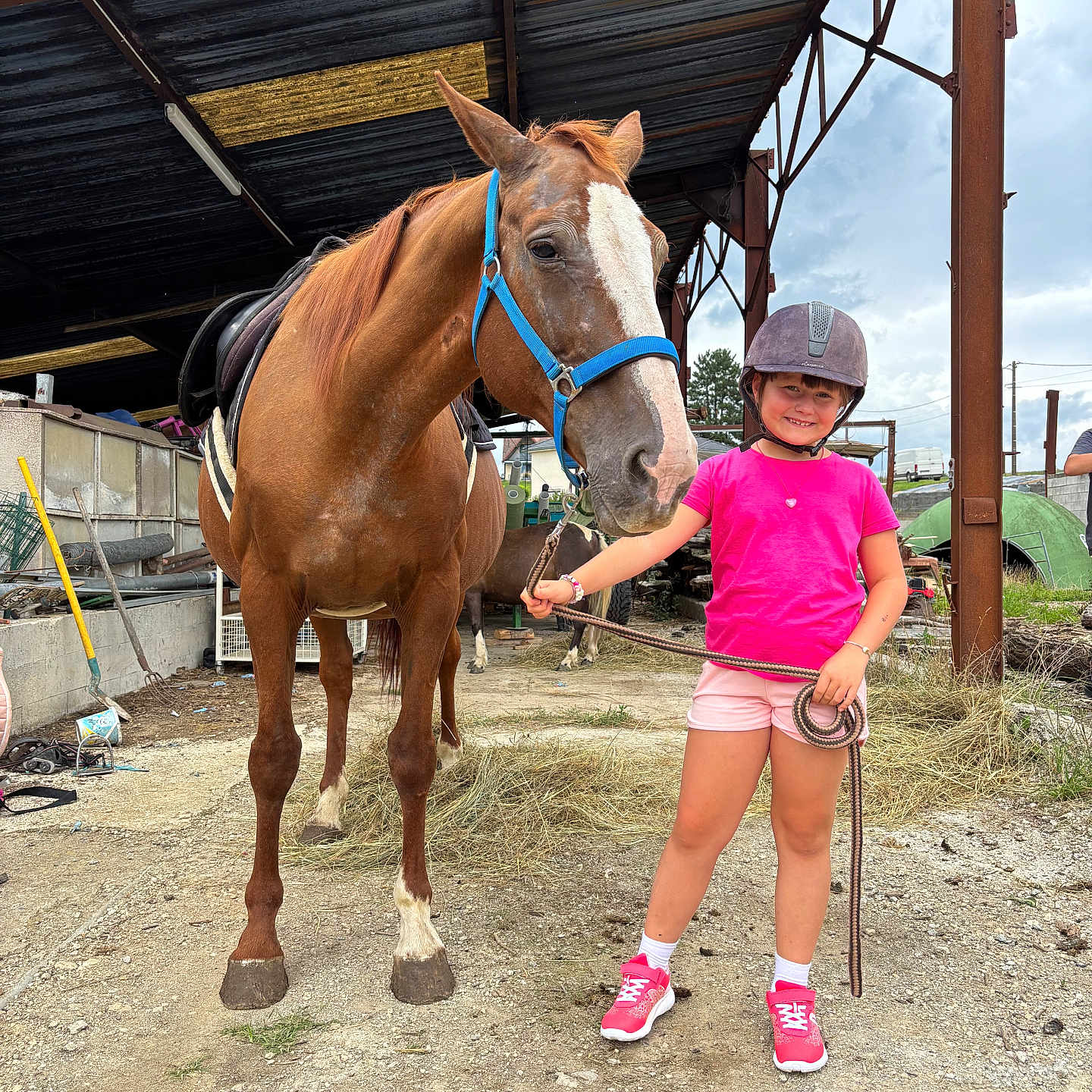 élysée a rejoint le concours — aidez-le/la à gagner de superbes lots ! animal, casual_clothing, child, dirt_ground, farm, footwear, grass, helmet, horse, metal_shelter, outdoor, pet, pink_shirt, reins, rope, shorts, sky, smiling, sunlight, young_person
