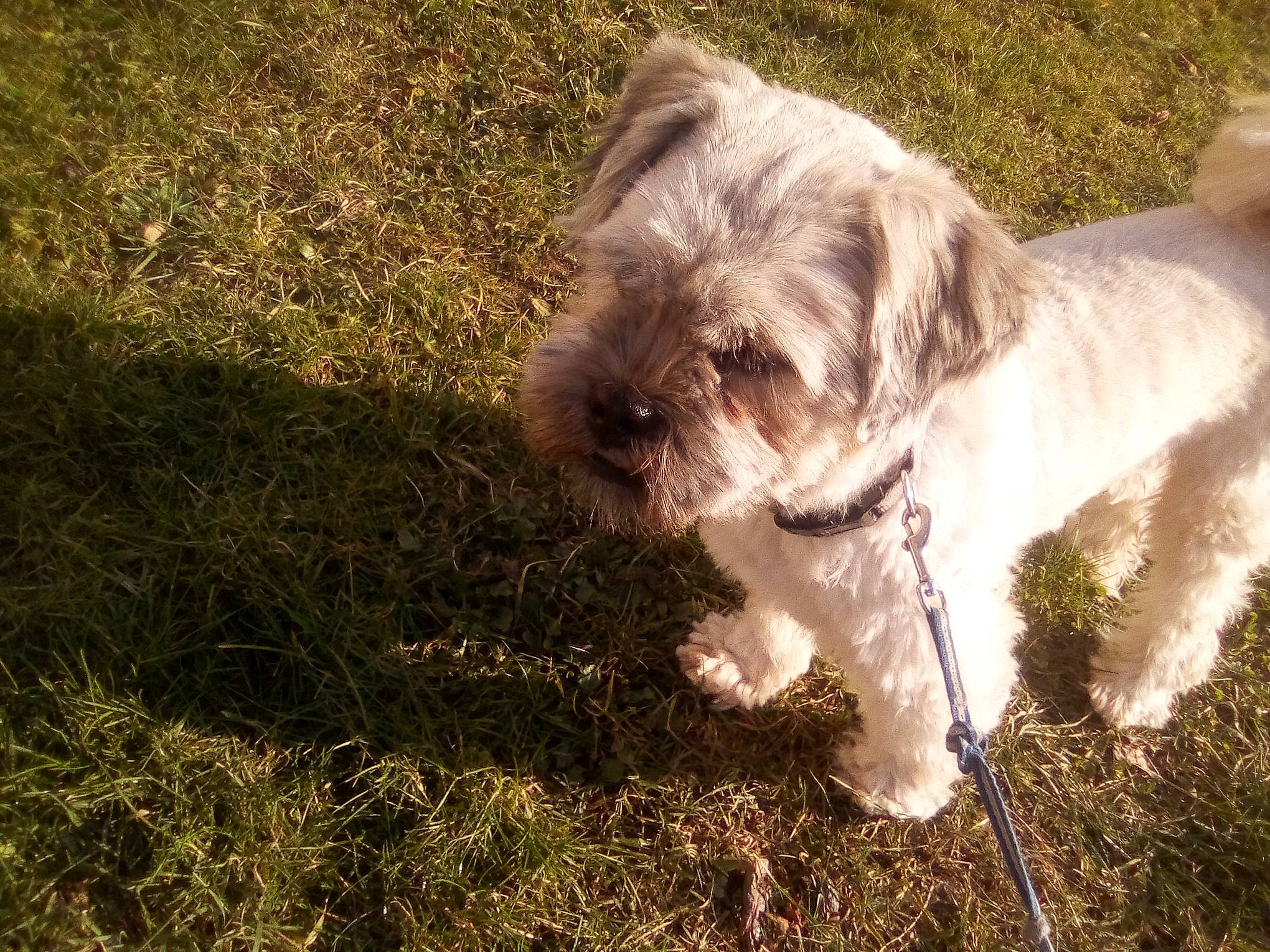 Tobby