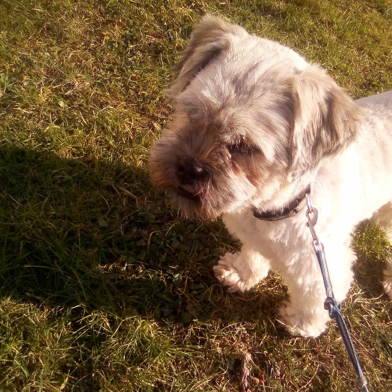 Tobby