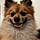 Chewbacca