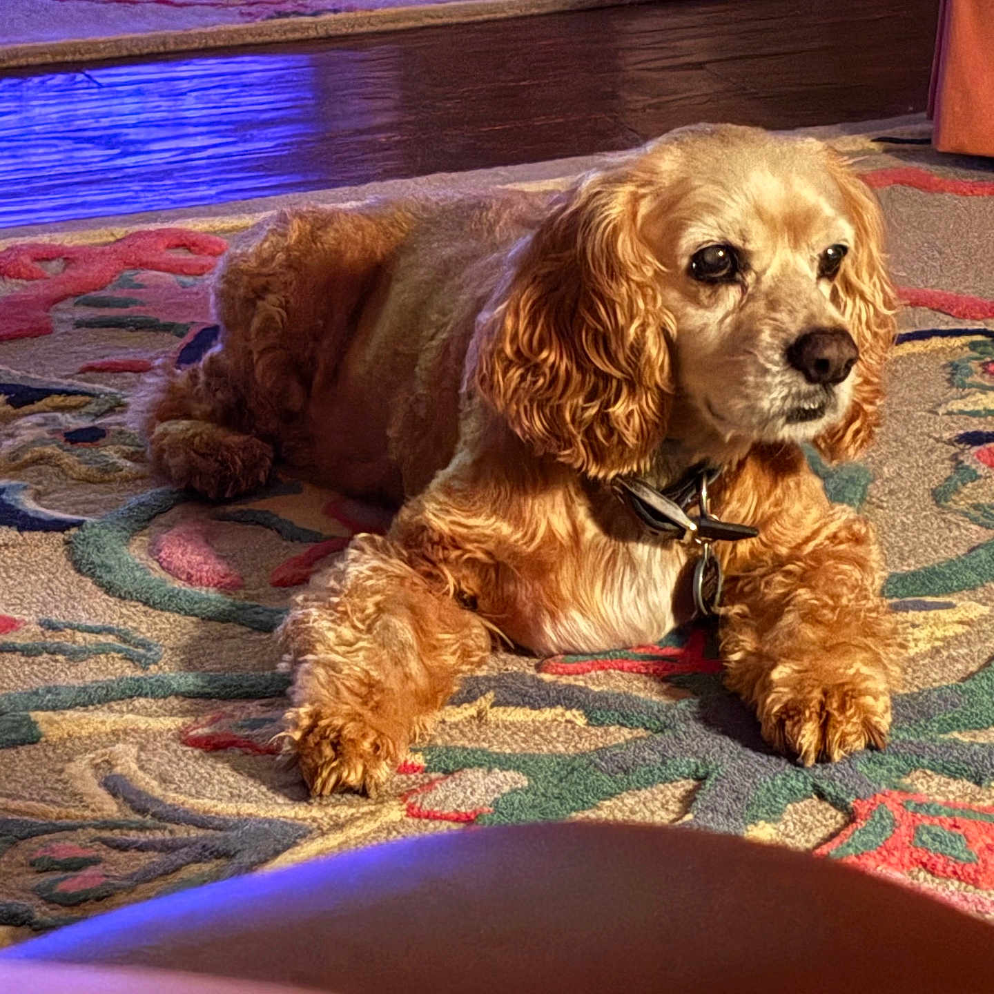 Marley