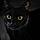 Salem
