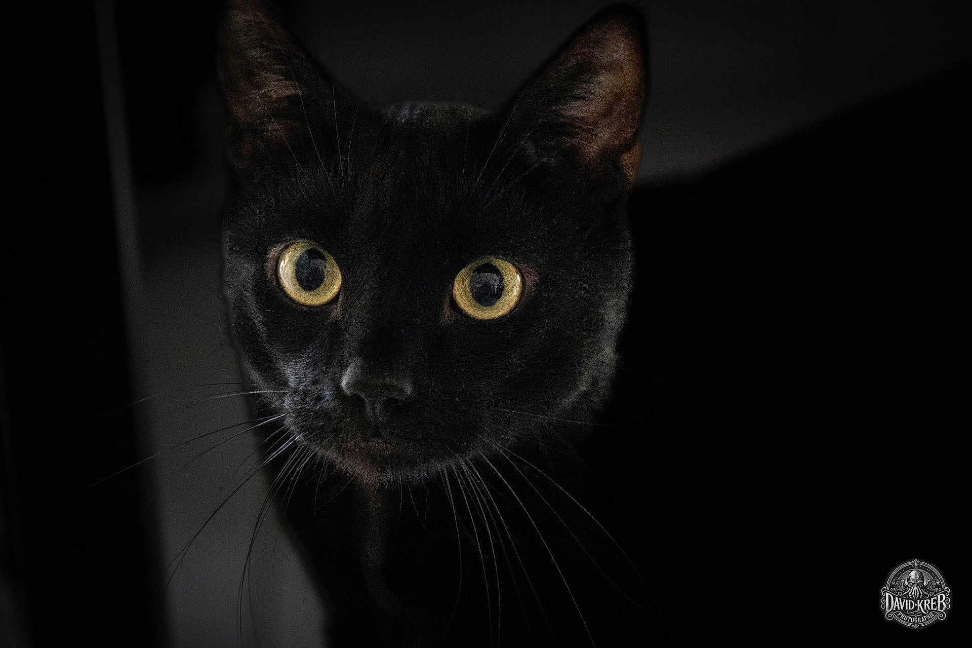 Salem