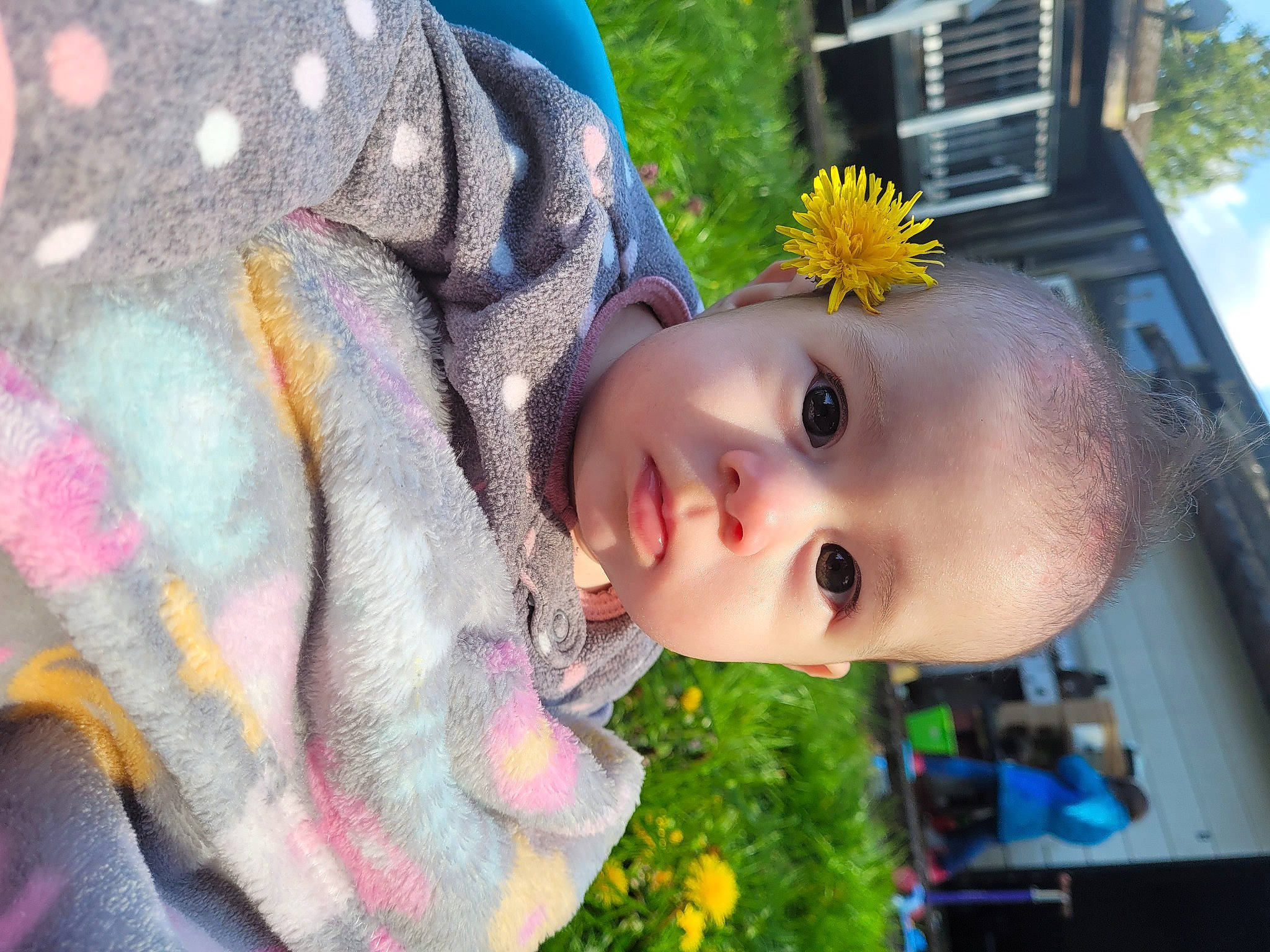 Kaedence joined the competition — help win amazing prizes! baby, baby_products, botany, child, flower, fun, grass, happy, iris, leisure, nose, people, person, plant, recreation, sky, toddler, toy, tree, window