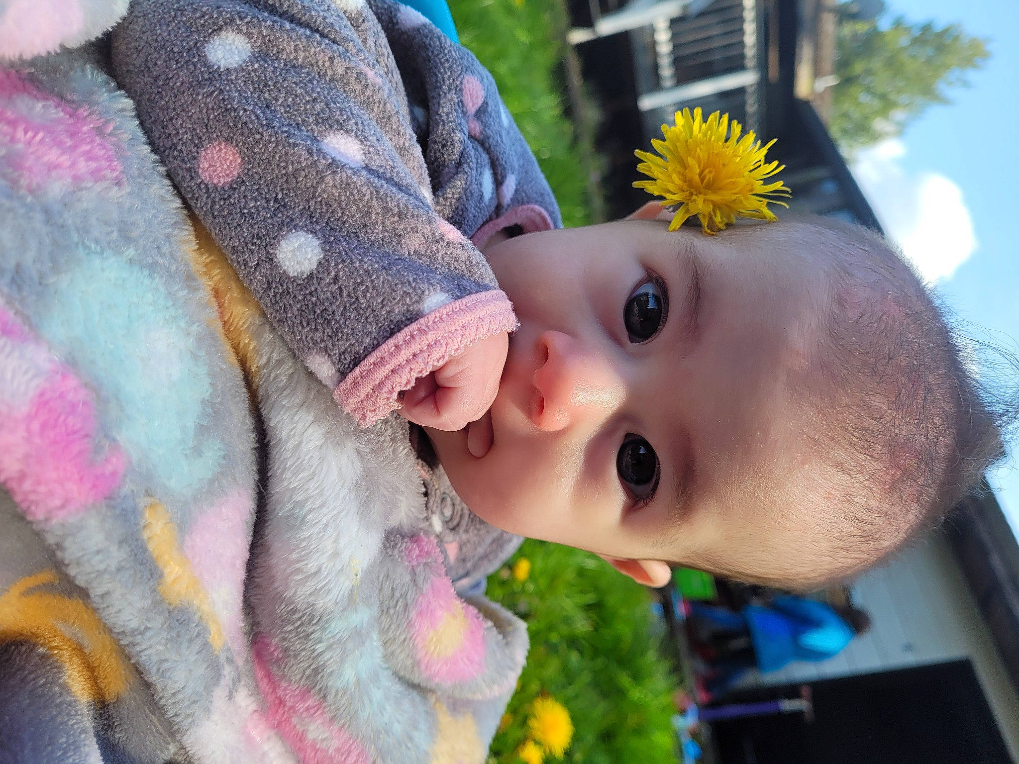 Kaedence joined the competition — help win amazing prizes! baby, baby_toddler_clothing, blue, cheek, eye, flower, green, happy, iris, lip, mammal, nose, person, plant, product, skin, sky, smile, vertebrate, window