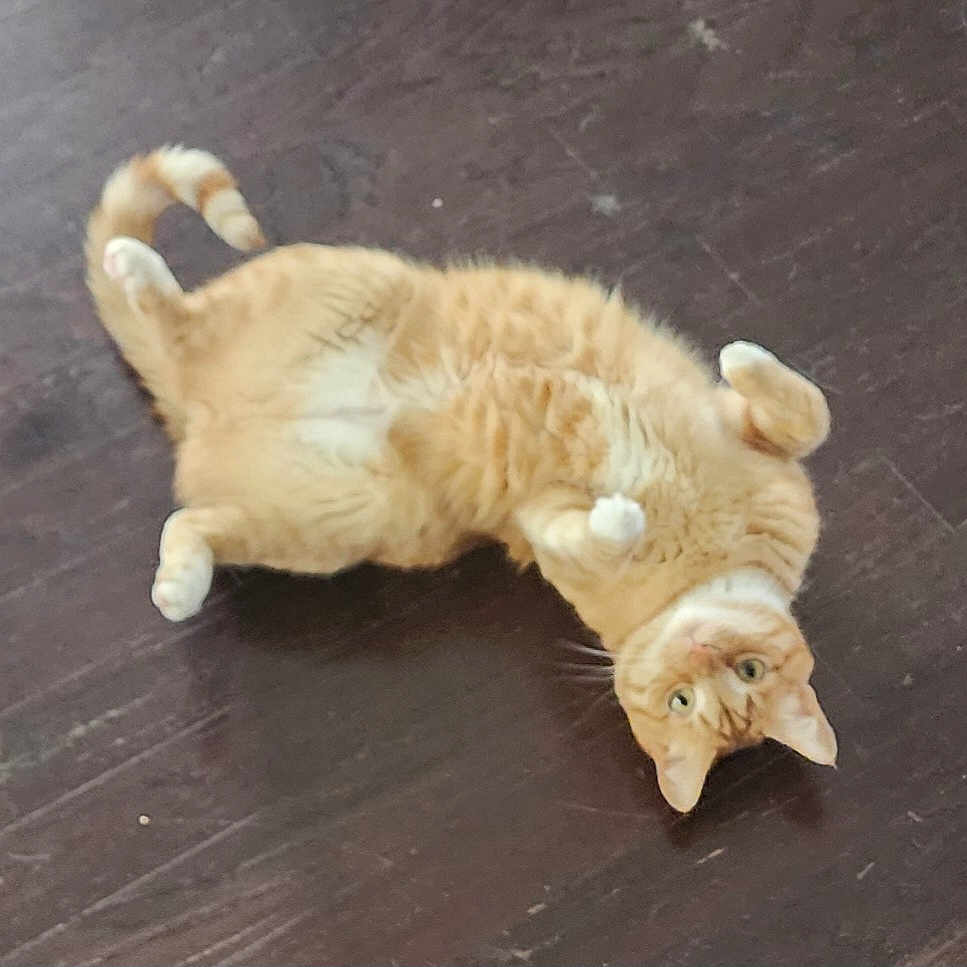 Fred