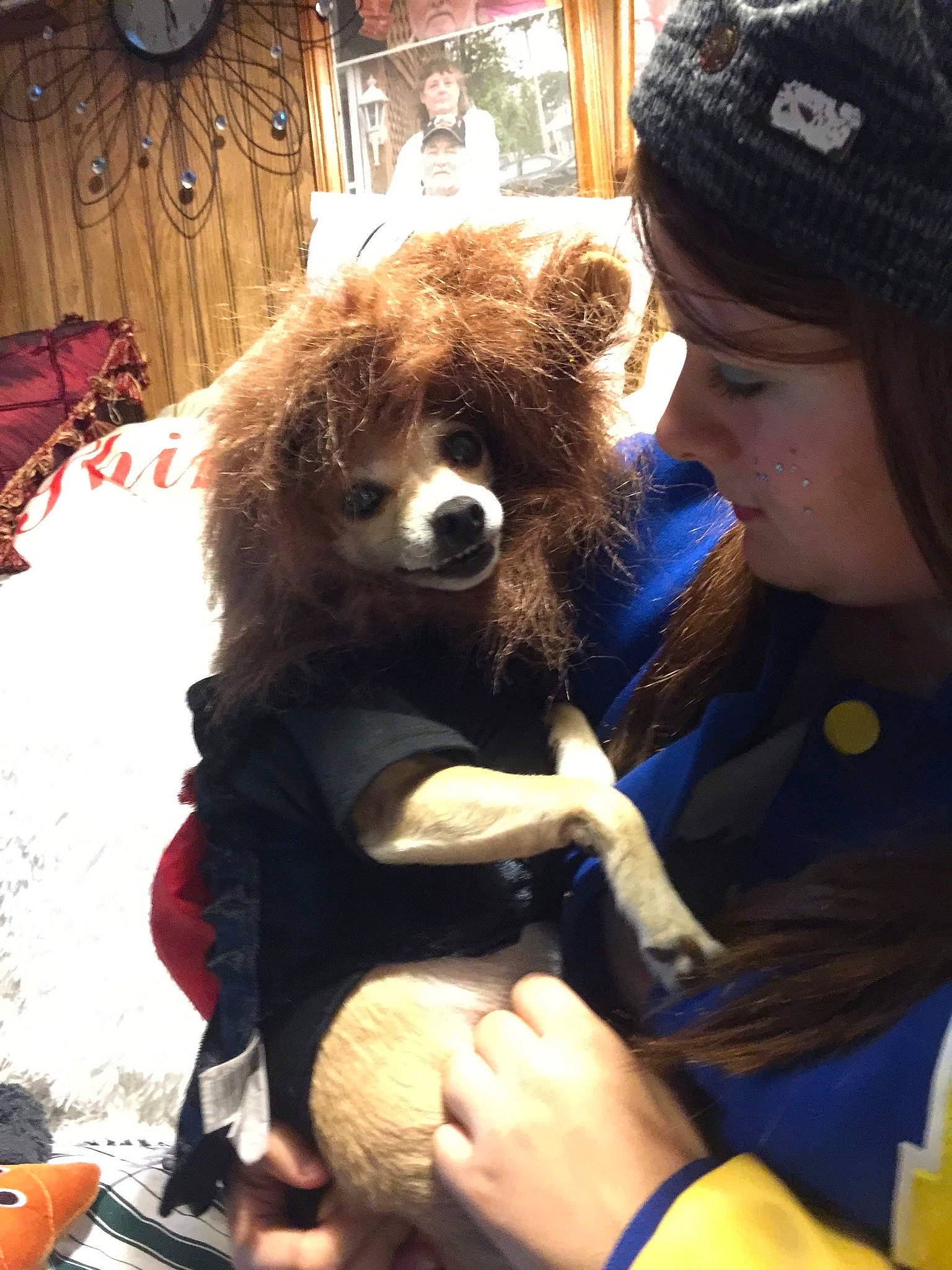 Misty is registered to the contest to win money with this photo: dog_breed_group, dog_like_mammal, fun, fur, mammal, person, pomeranian, snout