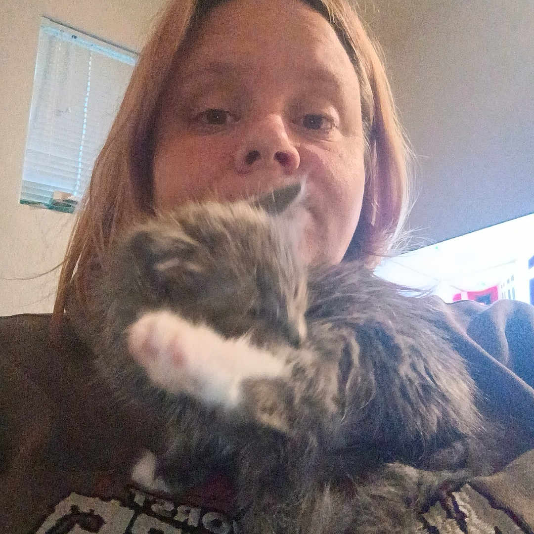 Belatrix is registered to the contest to win money with this photo: animal, blur, casual, cat, clothing, cozy, cute, face, furry, grooming, hair, indoor, kitten, paw, person, pet, room, selfie, television, window