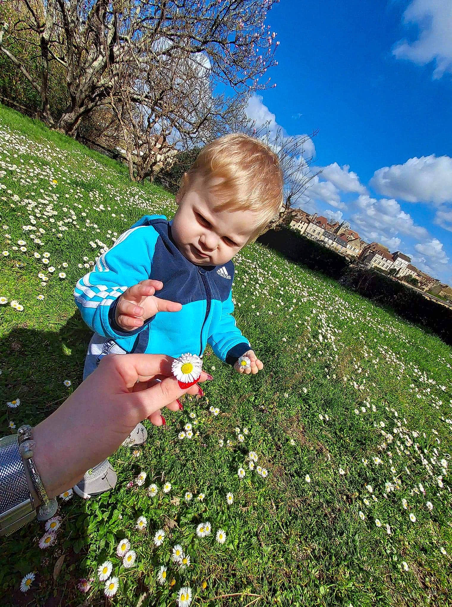 Sébastien a rejoint le concours — aidez-le/la à gagner de superbes lots ! botany, cloud, flower, gesture, grass, grass_family, grassland, groundcover, happy, leisure, meadow, natural_environment, nature, people_in_nature, person, petal, plant, sky, sunlight, toddler