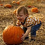 toddler, child, pumpkin, pumpkin_patch, autumn, fall, straw, outdoor, happy, smiling, jeans, shirt, nature, harvest, field, crouching, cute, daylight, seasonal, fun
