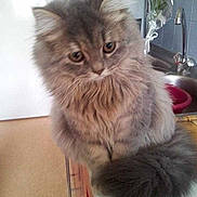 Ilou participe au concours pour gagner de l'argent avec cette photo :