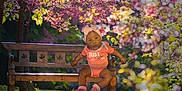 Esperanza is registered to the contest to win money with this photo: baby, bench, blossoms, child, cute, flowering_tree, garden, grass, headband, infant, nature, outdoor, park, pink_clothing, portrait, sitting, spring, sunlight, tree_trunk, wood
