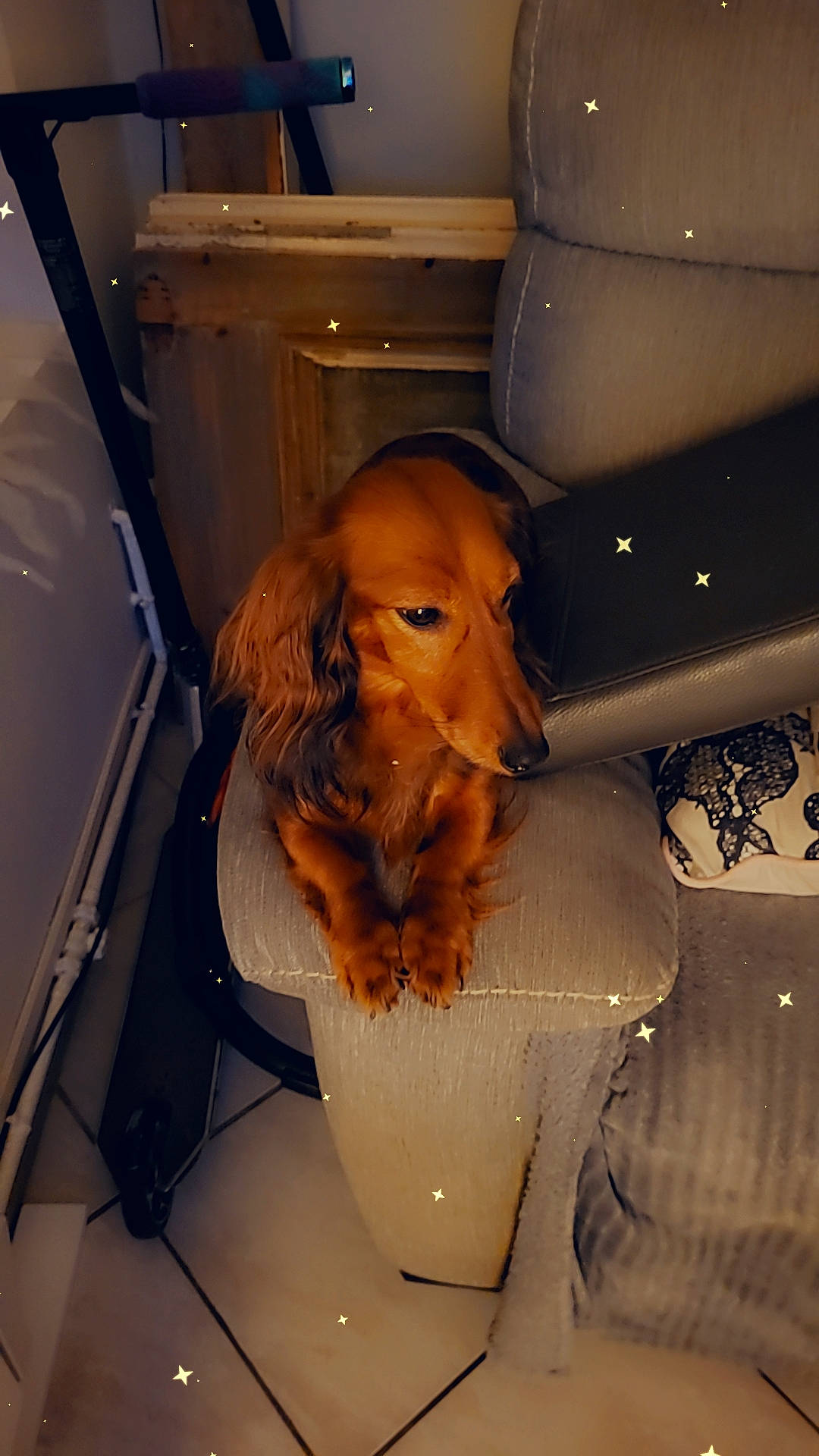 Iris a rejoint le concours — aidez-le/la à gagner de superbes lots ! art, beard, ceiling, chest, eyewear, facial_hair, fun, glass, hat, head, headgear, jaw, mouth, reflection, room, sculpture, selfie, sunglasses, toy, transparent_material