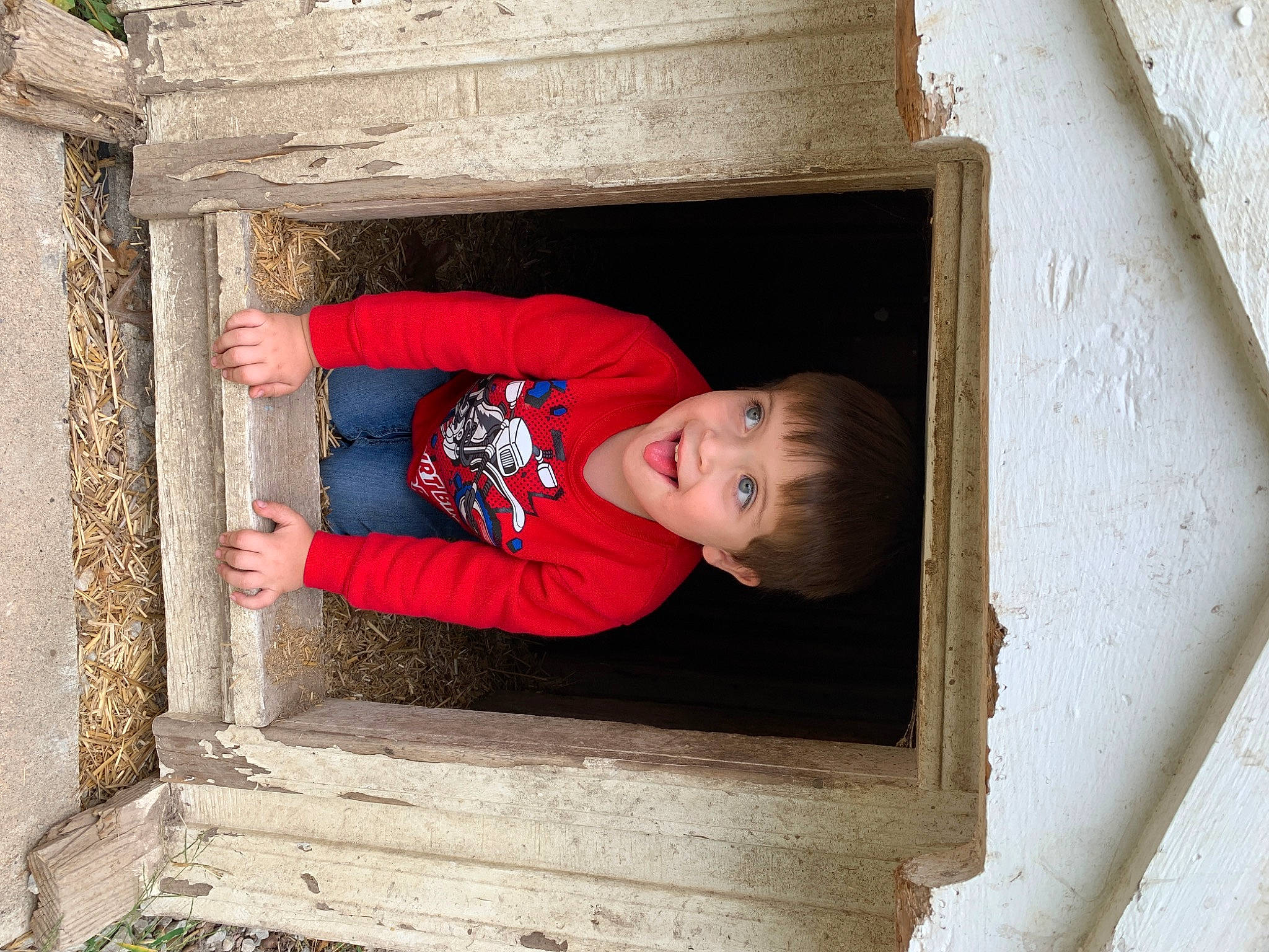 Daxton joined the competition — help win amazing prizes! brick, child, chin, composite_material, concrete, door, elbow, fun, person, rectangle, room, sitting, sleeve, smile, t_shirt, tints_and_shades, toddler, wall, window, wood