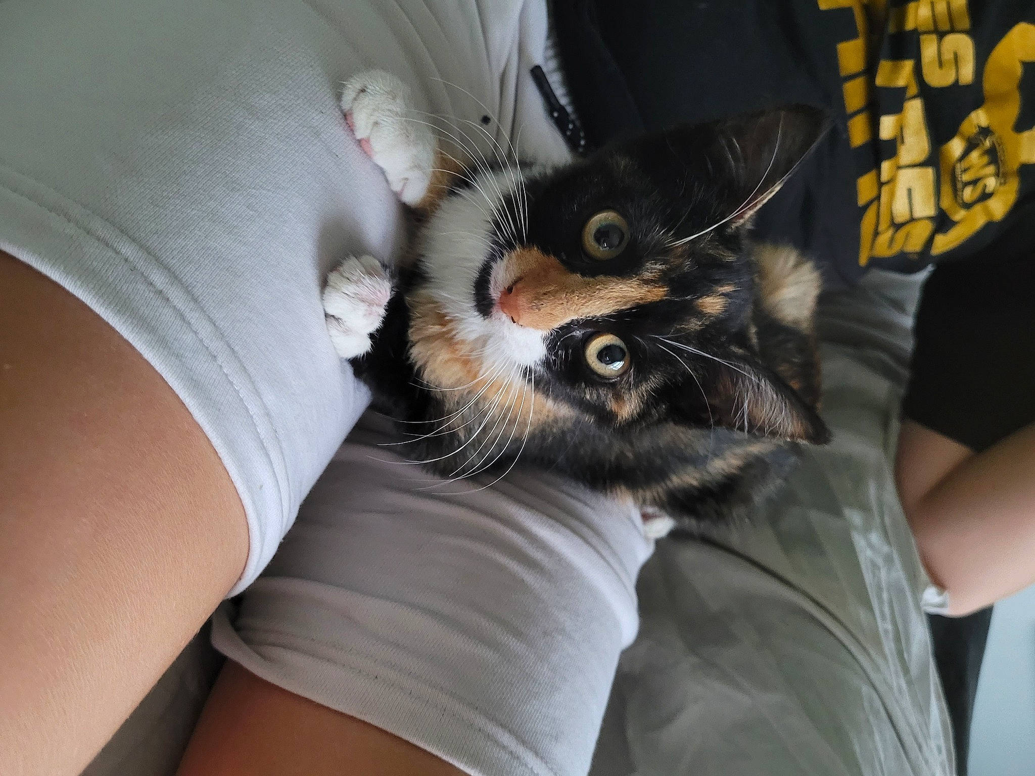 Twix
