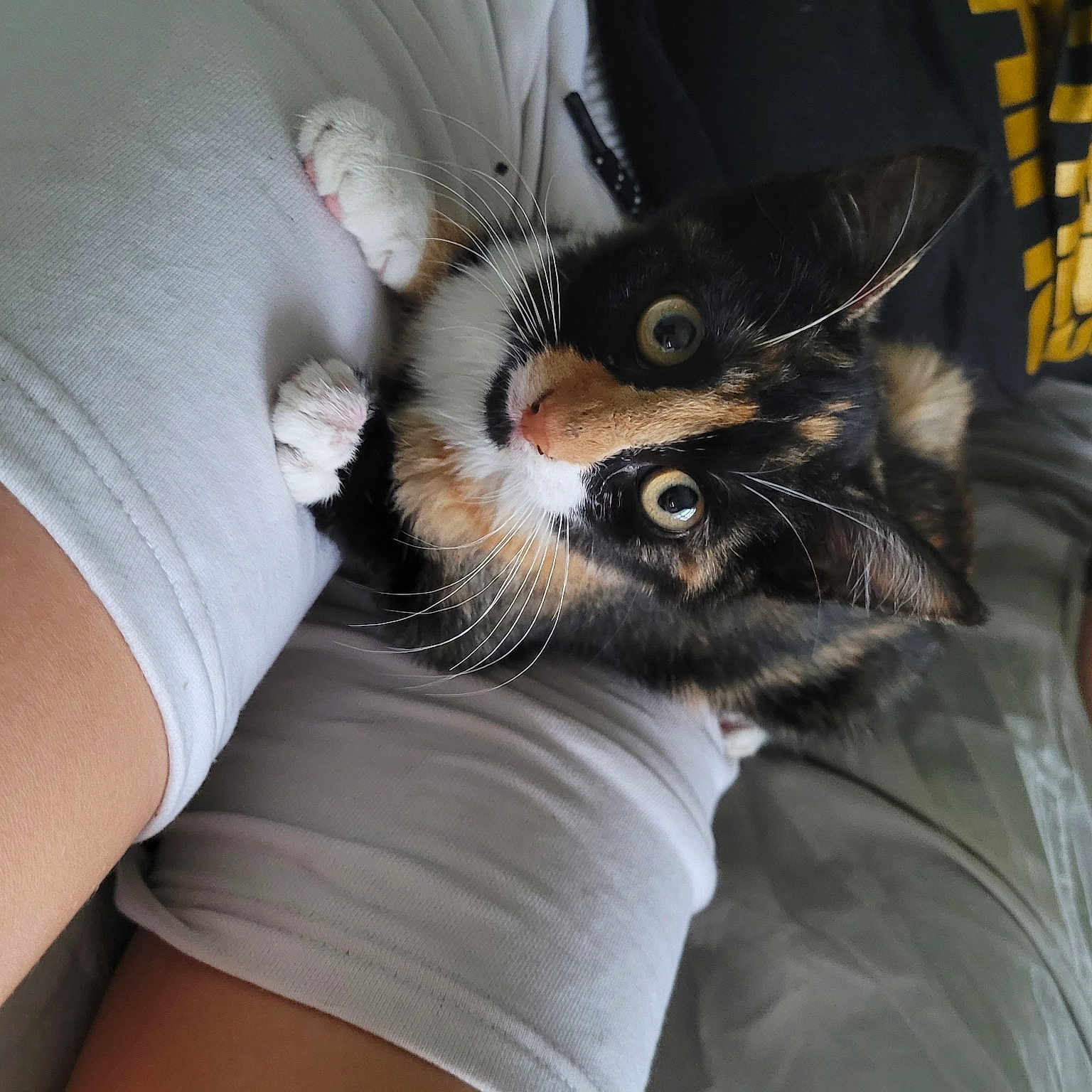 Twix