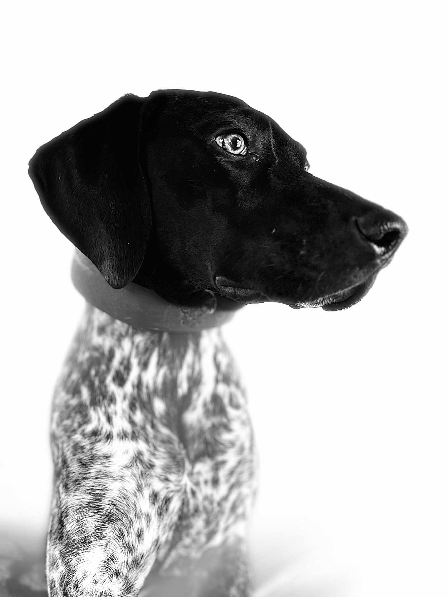 Mossie Marie