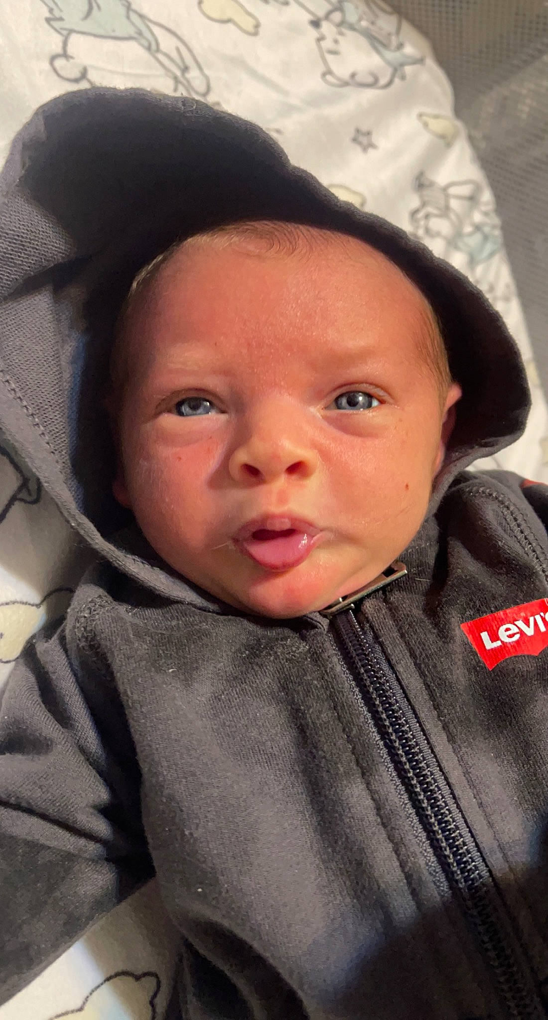 Bailey is registered to the contest to win money with this photo: baby, cheek, child, chin, comfort, cool, eyebrow, eyelash, forehead, happy, headwear, lip, mouth, nose, organ, outerwear, person, skin, sleeve, smile