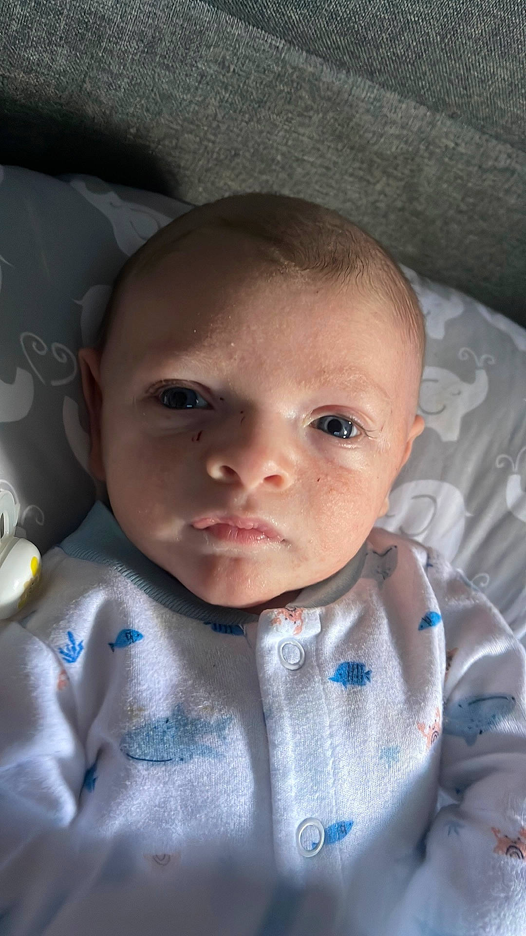 Bailey joined the competition — help win amazing prizes! baby, baby_toddler_clothing, cheek, child, chin, comfort, eye, eyebrow, eyelash, forehead, fun, happy, head, iris, lip, mouth, nose, person, skin, sleeve