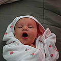 Macey R.