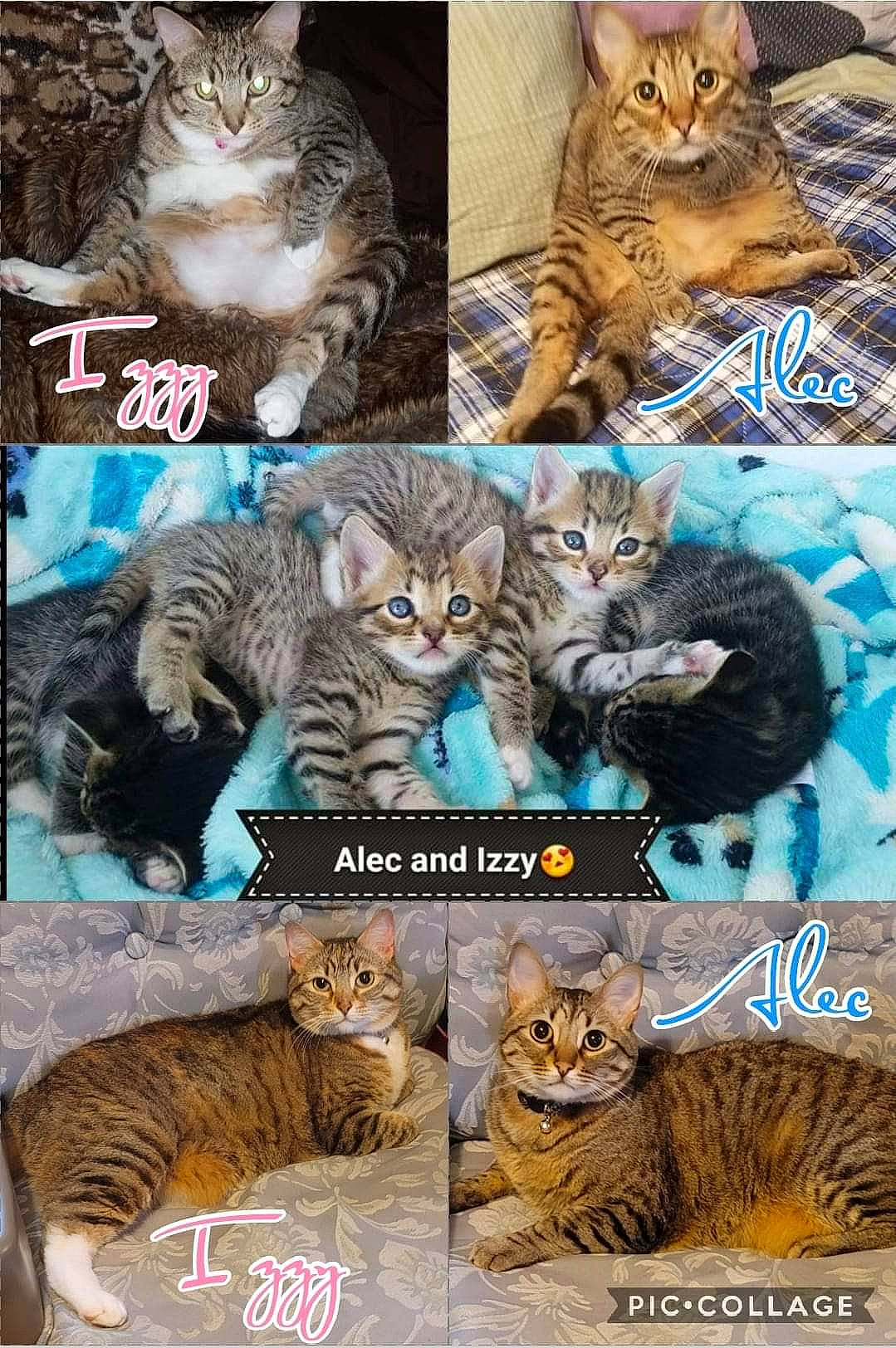 Alec N Izzy