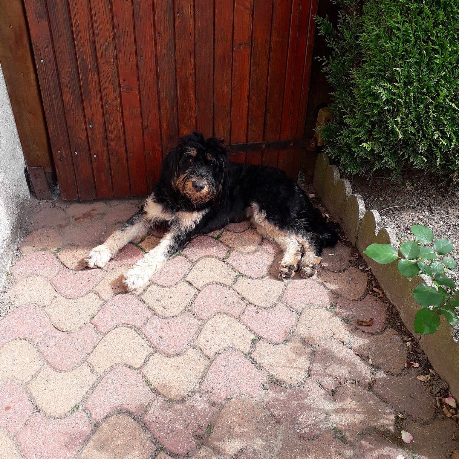 Ruby
