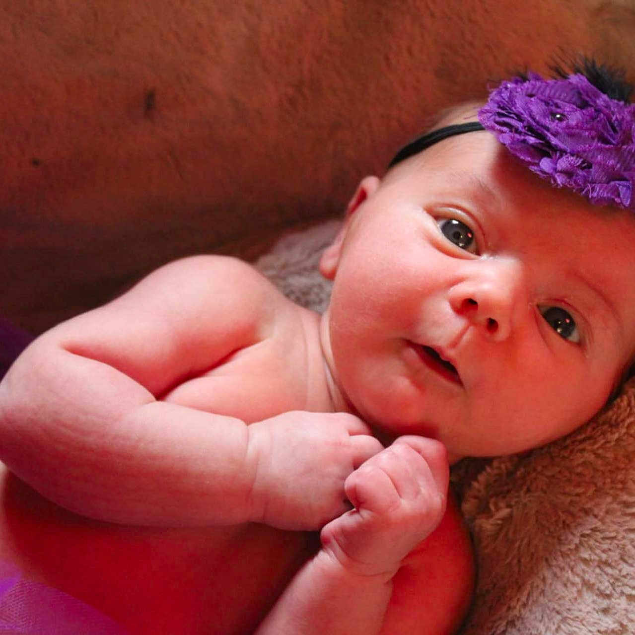 Lily joined the competition — help win amazing prizes! accessories, baby, bodypart, clothing, face, finger, flower, hand, happy, head, headband, jewelry, newborn, person, petal, photography, plant, portrait, purple, smile
