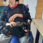Stitch participe au concours pour gagner de l'argent avec cette photo : person, dog, wheelchair, indoor, pet, black_dog, small_dog, glasses, hand, table, wooden_wall, tiled_floor, clothing, seated, companion, resting, lap, comfort, care, home
