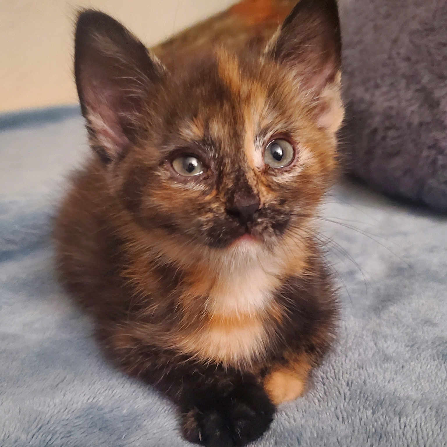 Luna