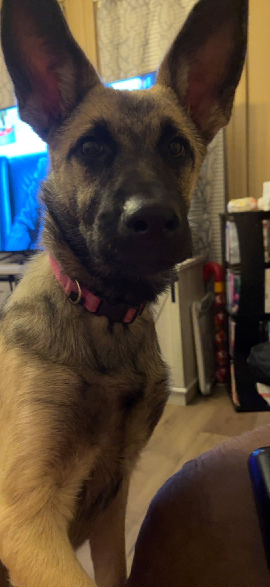 Winnie
