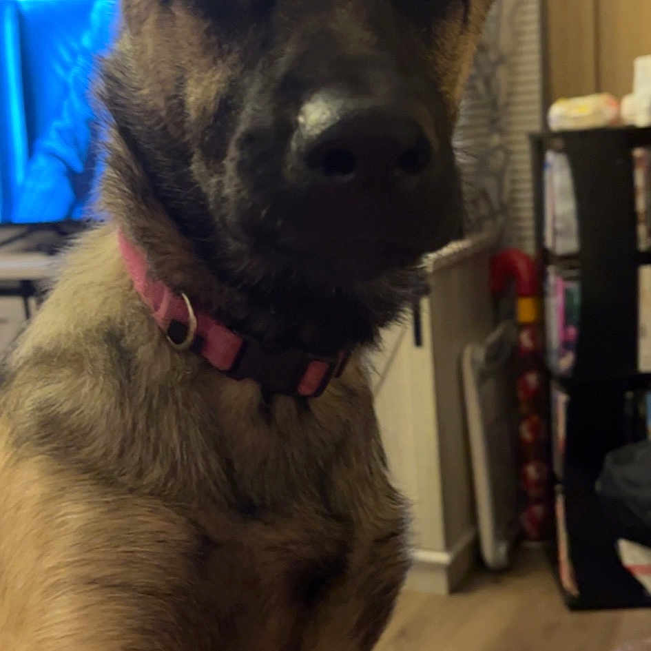 Winnie