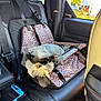 Ranger is registered to the contest to win money with this photo: accessory, animal, black_leather_seat, canine, car_door, car_interior, cute, dog, fluffy, leisure, leopard_print, pet_car_seat, relaxed, seat, seatbelt, sunglasses, sunlight, transport, travel, window