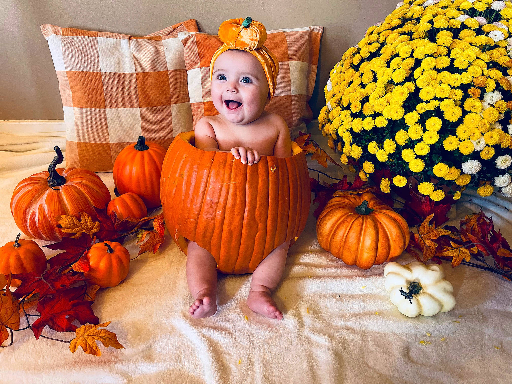 Adaleigh joined the competition — help win amazing prizes! calabaza, couch, cucurbita, flower, gourd, headwear, leaf, mammal, natural_foods, orange, organ, person, plant, pumpkin, smile, squash, textile, toy, vegetable, winter_squash
