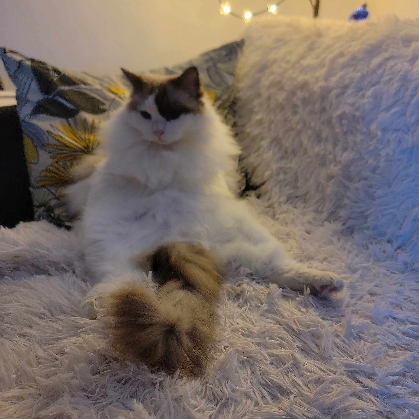 Jade