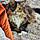 Minette