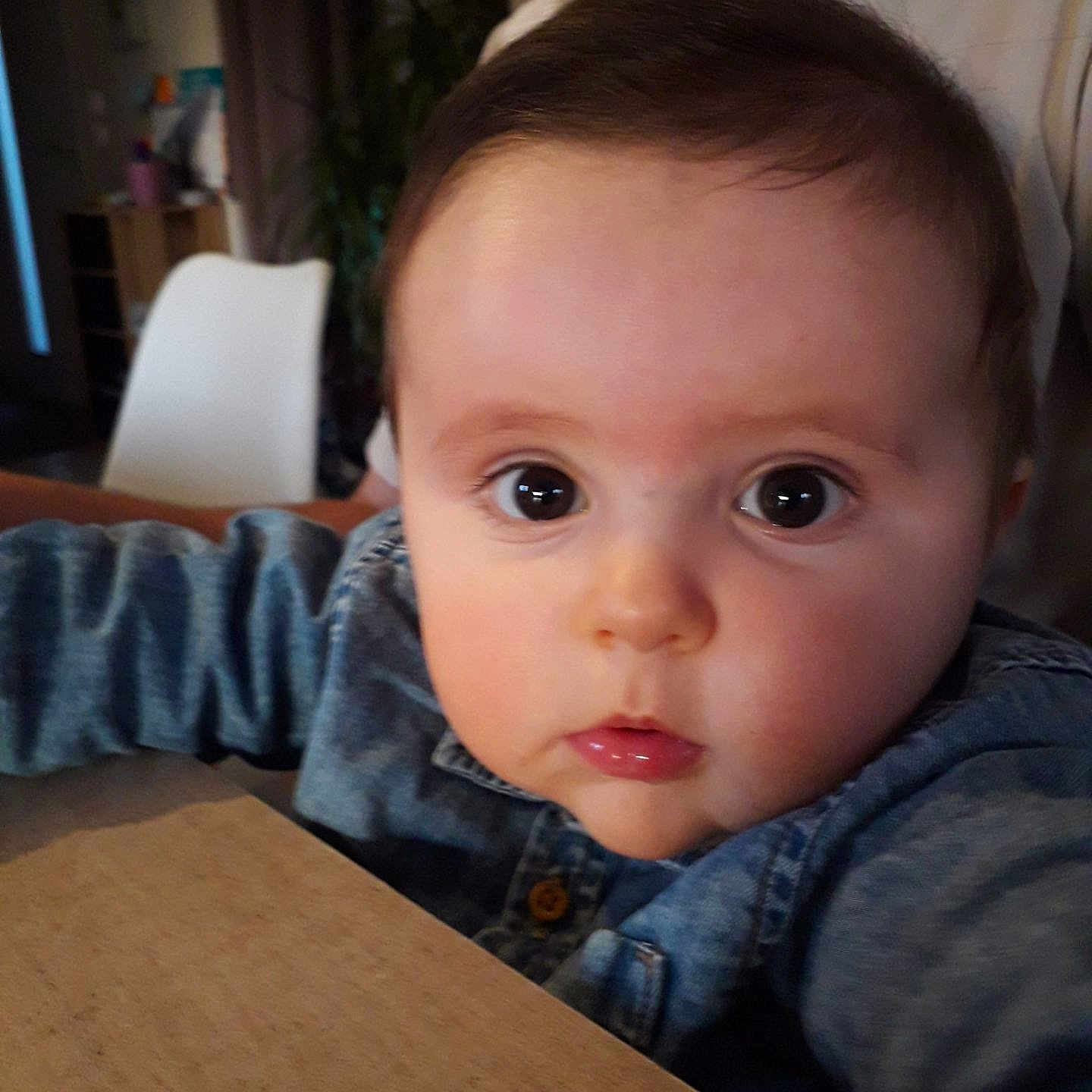 Maël participe au concours pour gagner de l'argent avec cette photo : architecture, baby, building, clothing, couch, diningtable, face, furniture, head, indoors, jeans, livingroom, pants, person, photography, plant, portrait, pottedplant, table, wood