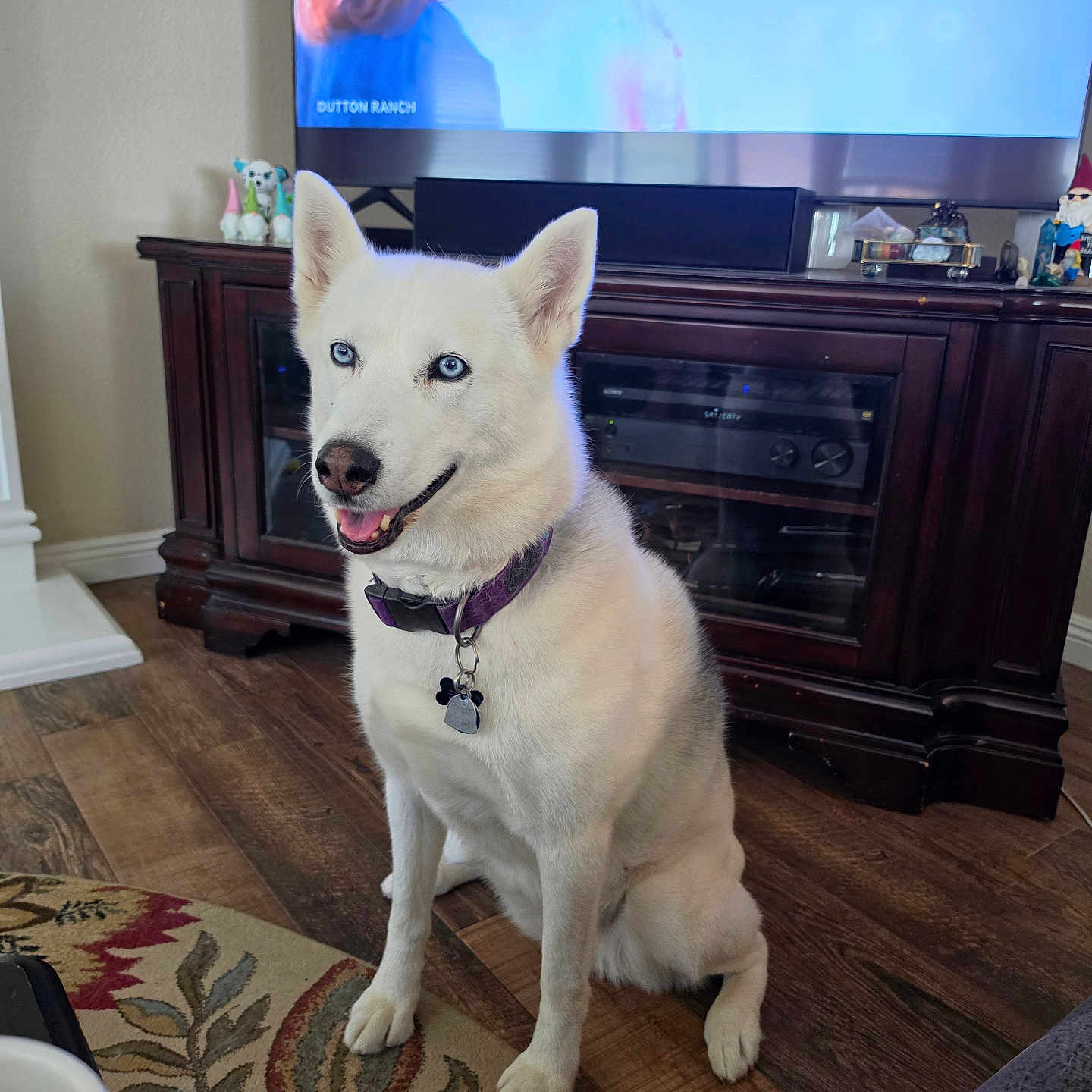 Akira