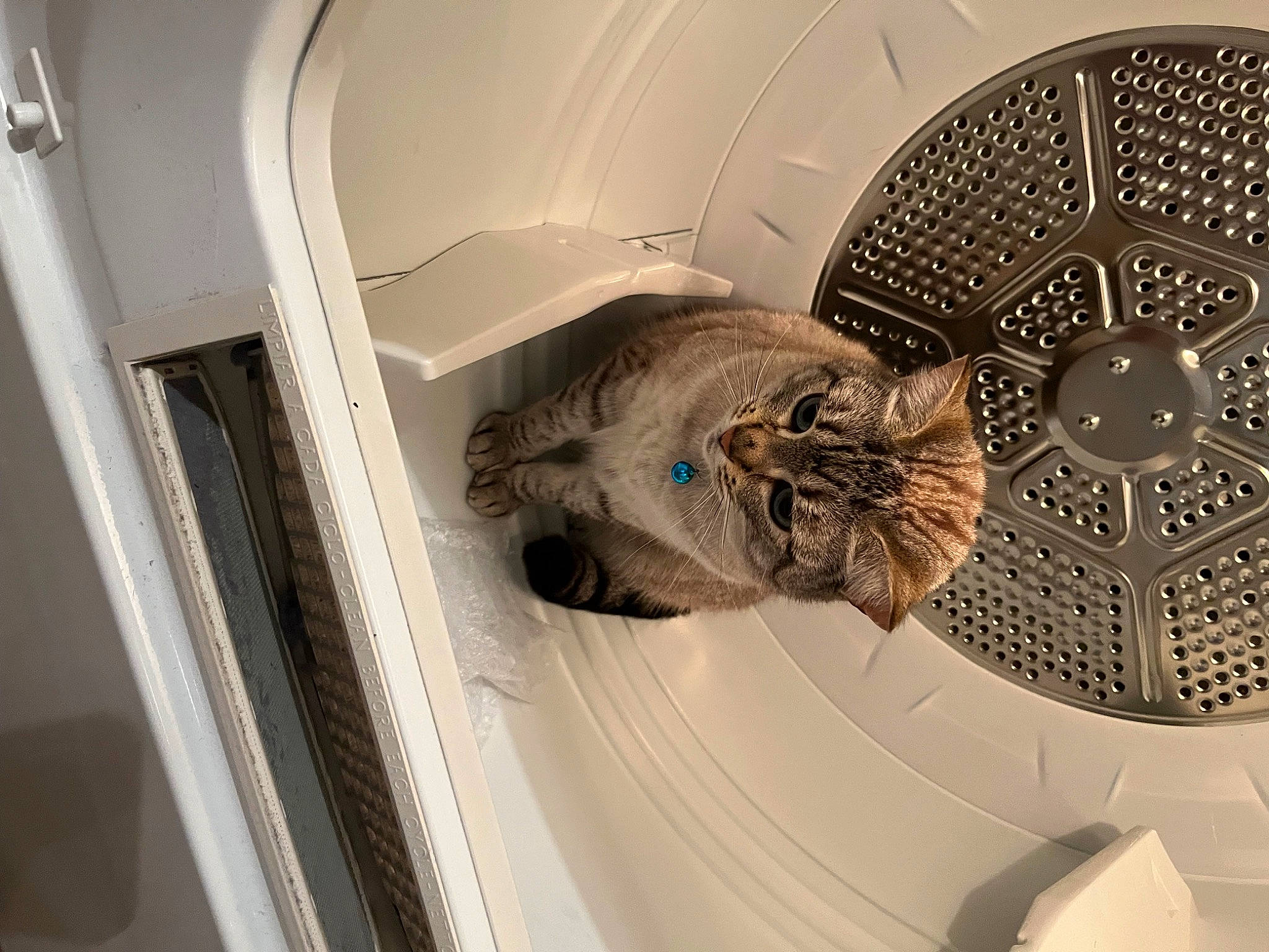 Elsa is registered to the contest to win money with this photo: auto_part, automotive_design, automotive_exterior, automotive_lighting, automotive_tire, automotive_wheel_system, car, ceiling, circle, door, fender, luxury_vehicle, motor_vehicle, personal_luxury_car, rim, tire, vehicle, vehicle_door, window, wood