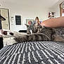 cat, close_up, cozy, domestic_animal, furniture, gray, home, human_arm, indoor, living_room, paw, peaceful, pet, relaxing, resting, sleeping, soft_light, stretching, tabby, texture