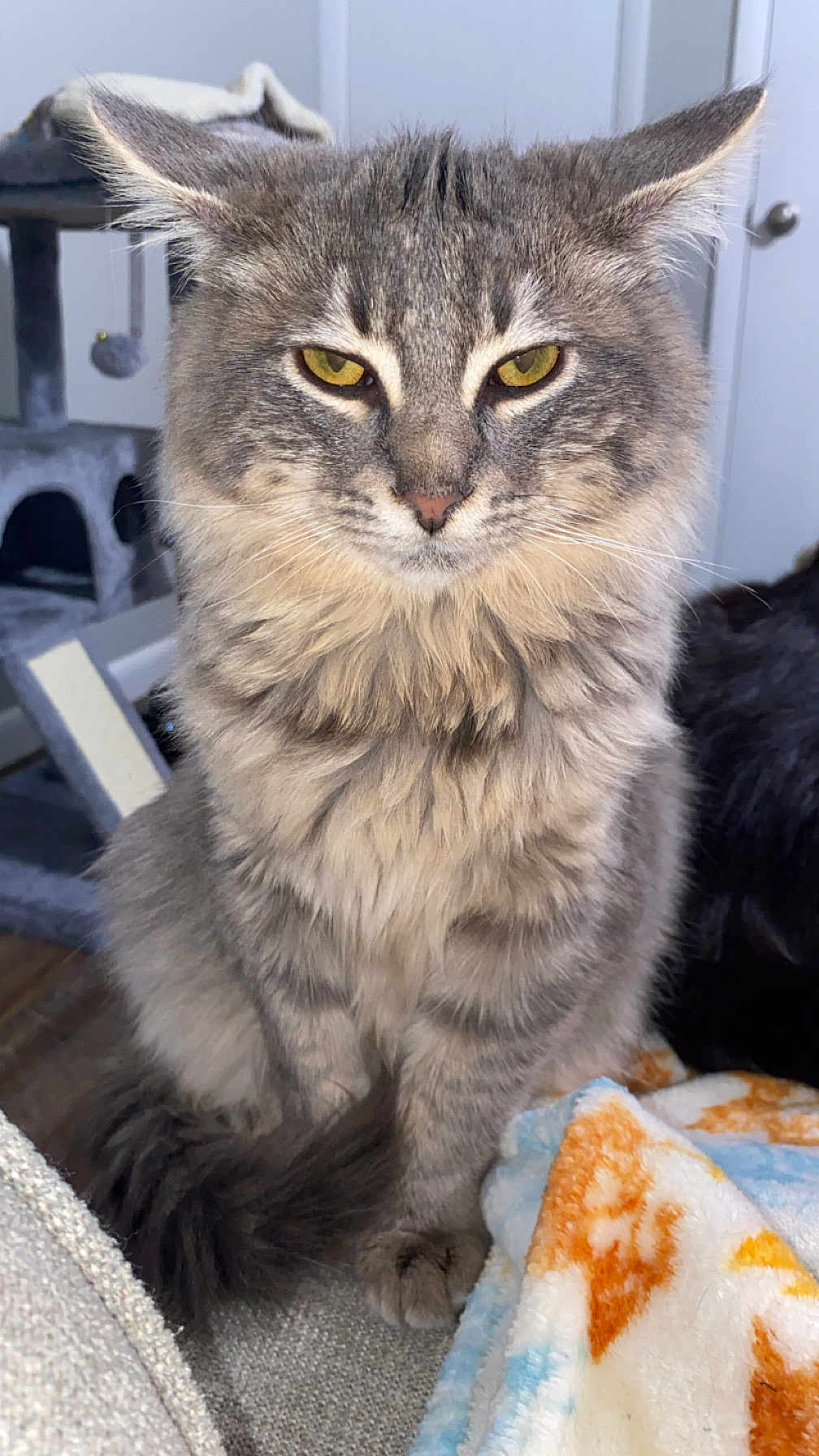 Salem
