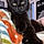 Binx