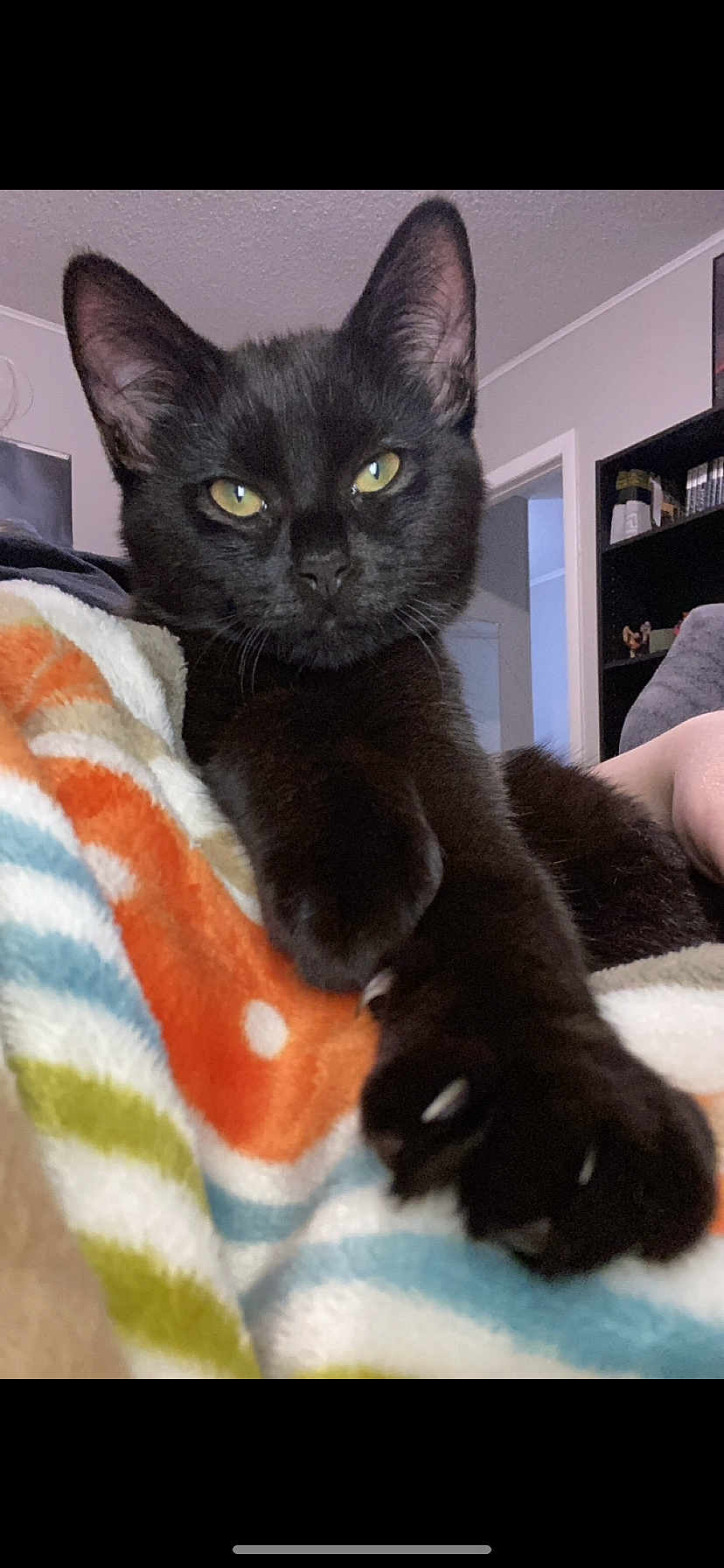 Binx
