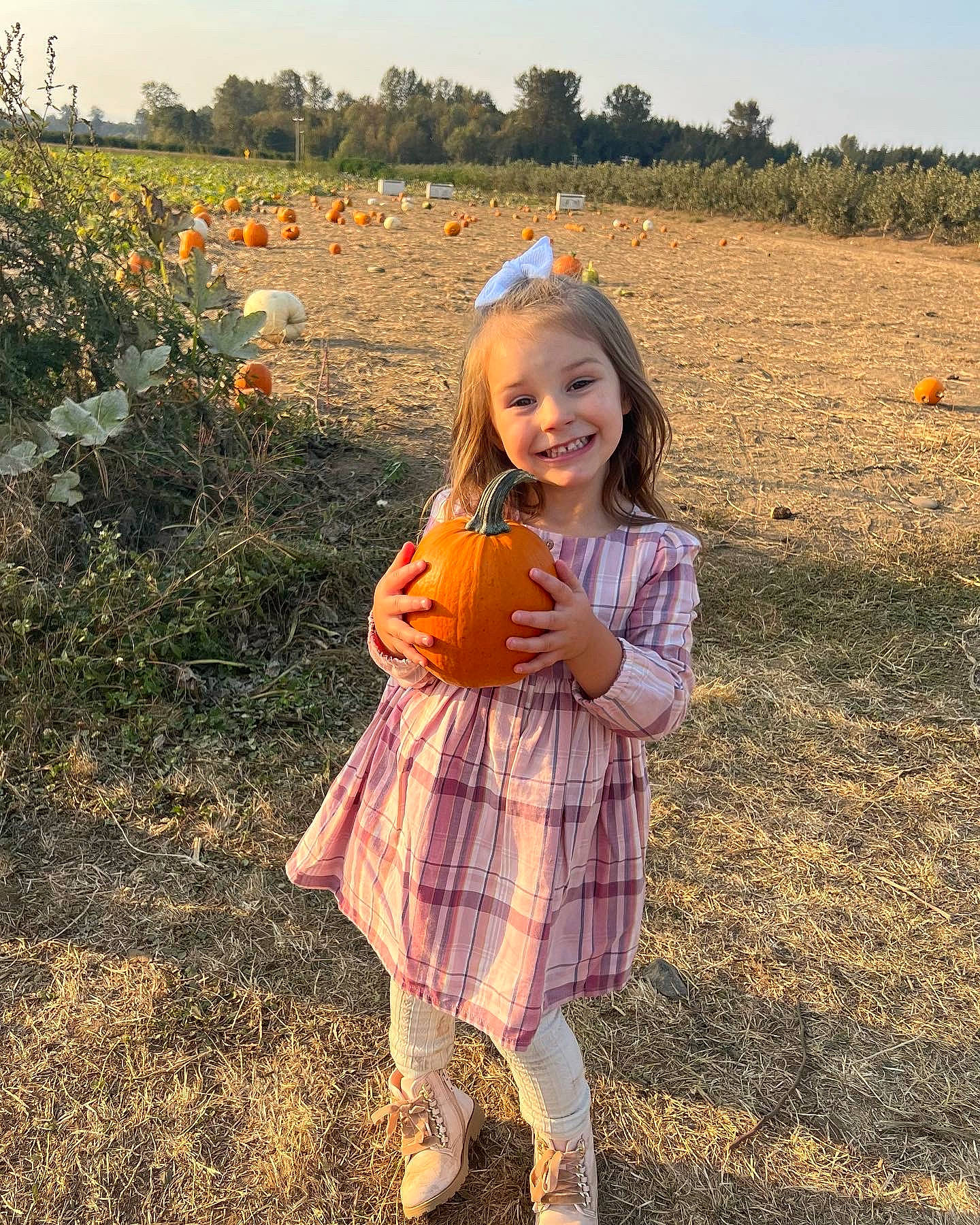 Paisley is registered to the contest to win money with this photo: agriculture, blond, field, fun, grass, grass_family, grassland, happy, joy, landscape, meadow, people_in_nature, person, plaid, plant, prairie, pumpkin, sky, smile, tartan
