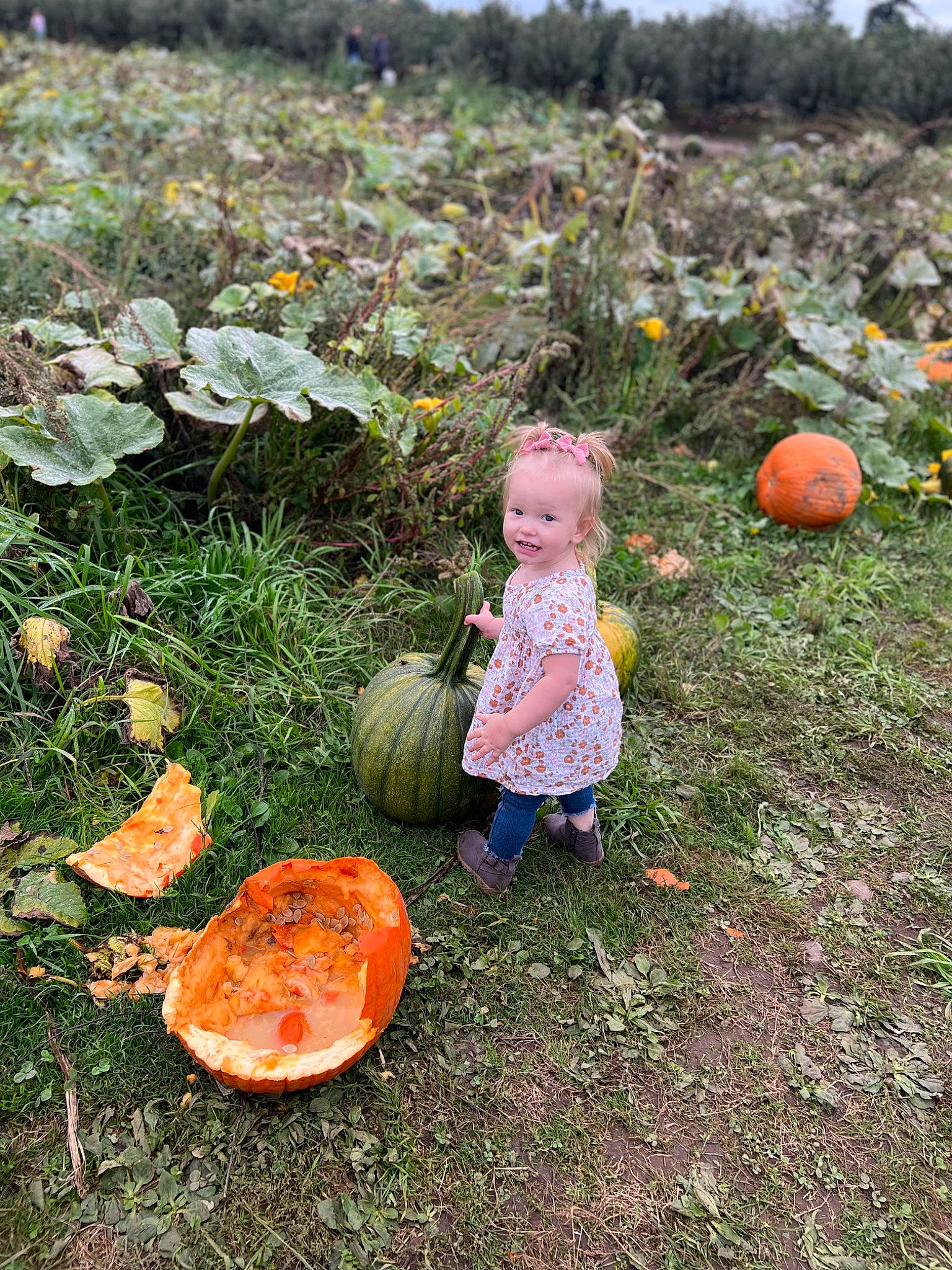 Avalynn joined the competition — help win amazing prizes! agaricaceae, bolete, calabaza, cucurbita, edible_mushroom, fungus, garden, grass, groundcover, landscape, natural_landscape, people_in_nature, person, plant, pumpkin, sitting, soil, terrestrial_plant, toddler, vegetable