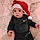 Jamari