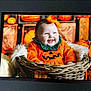 Olivia is registered to the contest to win money with this photo: baby, infant, pumpkin_costume, orange_clothing, wicker_basket, headband, smiling, fall_decor, autumn, decorations, fur_blanket, cute, holiday_theme, child, portrait, indoors, happy, festive, seasonal, costume