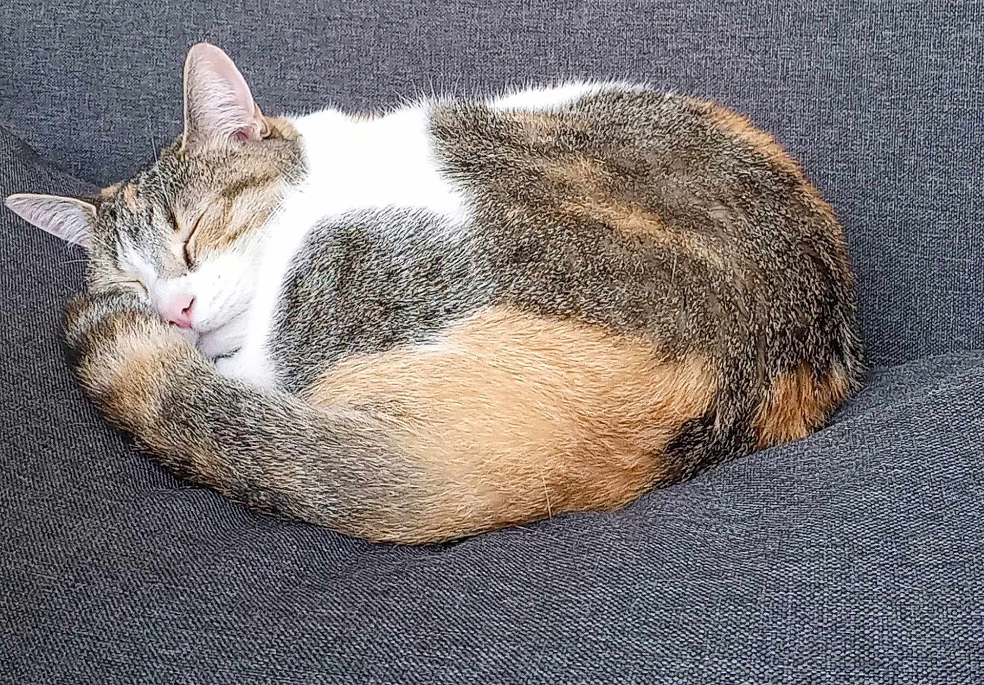 Ruby