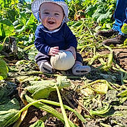 Hudson is registered to the contest to win money with this photo: adult, baby, boots, child, farm, garden, happy, hat, infant, leaves, outdoor, plants, portrait, pumpkin, pumpkin_patch, smiling, squash, sunhat, sunlight, vegetable