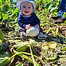 adult, baby, boots, child, farm, garden, happy, hat, infant, leaves, outdoor, plants, portrait, pumpkin, pumpkin_patch, smiling, squash, sunhat, sunlight, vegetable