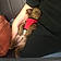 Balto
